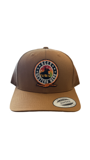 Aces Snapback Shedron Cap